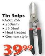 Tin Snips (RAZ65266)