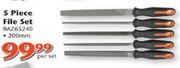 File Set-5 Piece Per Set (RAZ65240)