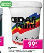 Cedar Paint PVA-20L