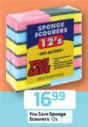You Save Sponge Scourers-12's