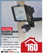Halogen Sensor Floodlight 500W