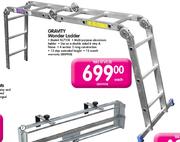 Gravity Wonder Ladder-Each