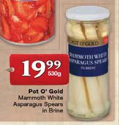 Pot O'Gold Diced Mammoth White Asparagus Spears In Brine-530g