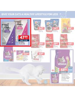 Pick n Pay : Low prices to treat your pet (18 Feb - 3 Mar 2013), page 5