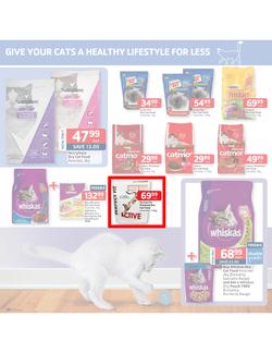 Pick n Pay : Low prices to treat your pet (18 Feb - 3 Mar 2013), page 5