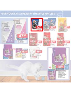 Pick n Pay : Low prices to treat your pet (18 Feb - 3 Mar 2013), page 5