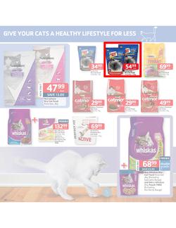 Pick n Pay : Low prices to treat your pet (18 Feb - 3 Mar 2013), page 5