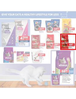 Pick n Pay : Low prices to treat your pet (18 Feb - 3 Mar 2013), page 5