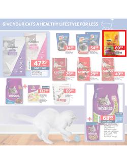 Pick n Pay : Low prices to treat your pet (18 Feb - 3 Mar 2013), page 5