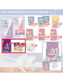 Pick n Pay : Low prices to treat your pet (18 Feb - 3 Mar 2013), page 5