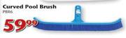 Curved Pool Brush PBR6