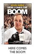 Here Comes The Boom DVD 