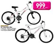 Raleigh 20" Mountain Bike-Each