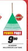 Academy Millennium Leaf Rake