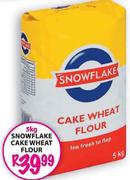 Snowflake Cake Wheat Flour-5 Kg