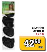Lily H/H Afro B