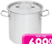 Aro Stainless Steel Professional Stockpot-12L