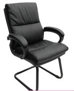 Titan Visitors Chair