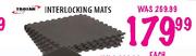 Trojan Interlocking Mats