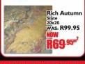 Rich Autumn Slate 20x20-Per Sqm