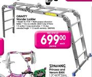 Gravity Wonder Ladder(KL7338)