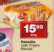 Danesita Lady Fingers Biscuits-400g
