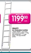 Gravity 6m Extension Ladder(DMS600)