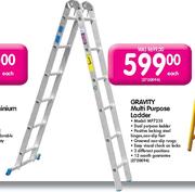 Gravity Multi Purpose Ladder(MP7238)
