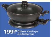 Ottimo Kleefvrye Elektriese Wok-Elk