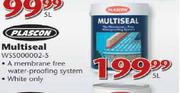 Plascon Multiseal-5L