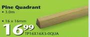 Swartland Pine Quadrant-16x16mm