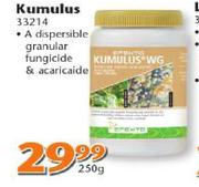 Kumulus-250g Each