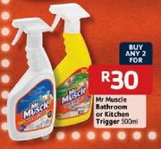Mr Muscle Bathroom Or Kitchen Trigger-2 x 500ml