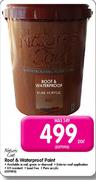 Nature's Coat Roof & Waterproof Paint-20Ltr
