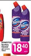 Domestos Sanitary Cleaner-750ml Each