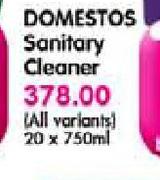 Domestos Sanitary Cleaner-20X750ml