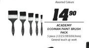 Academy Ecoman Paint Brush Pack-5pcs