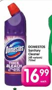 Domestos Sanitary Cleaner-750Ml