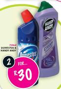 Domestos & Handy Andy-750ml-2's