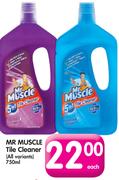 Mr Muscle Tile Cleaner(All Variants)-750ml Each