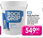 Rock Grip Acrylic Paint-20L