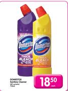 Domestos sanitary Cleaner-750ml Each