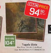 Tugela Slate Size : 420 x 420mm Per Square Meter 