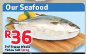 PnP Frozen Whale Yellow Tail-Per Kg