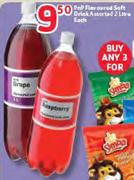PnP Flavoured Soft Drink Assorted 2L-Each