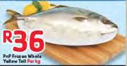 PnP Frozen Whole Yellow Tail-Per Kg