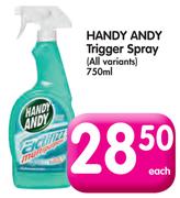 Handy Andy Trigger Spray(All Variants)-750ml