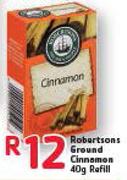Robertsons Ground Cinnamon-40g Refill