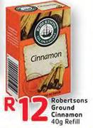 Robertsons Ground Cinnamon-40g Refill