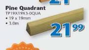 Swartland Pine Quadrant-19 x 19mm x 3.0m Each